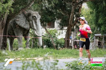 Ảnh sự kiện VIETNAM TRIFACTOR 2026 - e8876c0a43423df049f326dc8ad3f97c.jpg